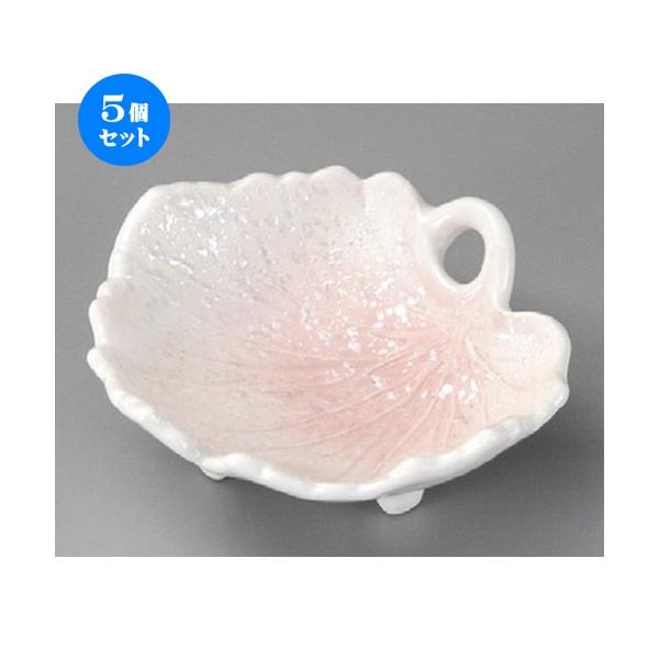 5Zbg  ԓ  sNX^[ [ 122 x 117 x 42mm ] y  aH HX Ɩp z