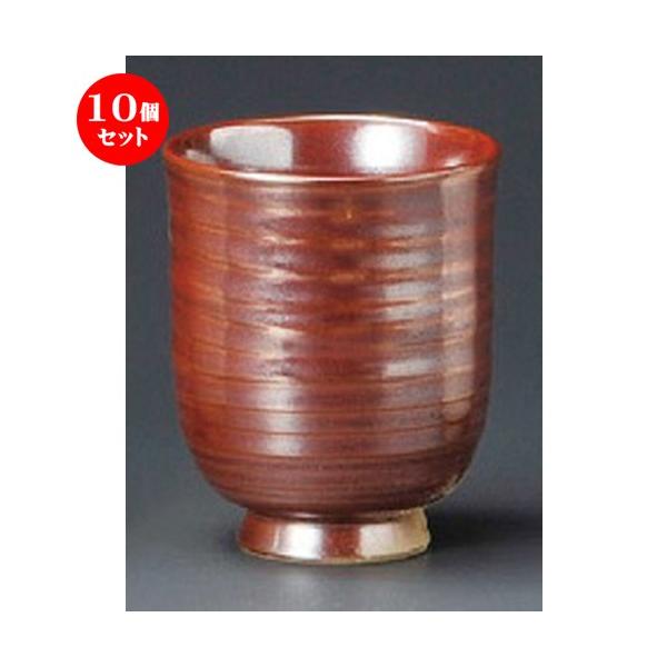 10Zbg  g  gہij [ 64 x 77mm ] y  aH HX Ɩp z