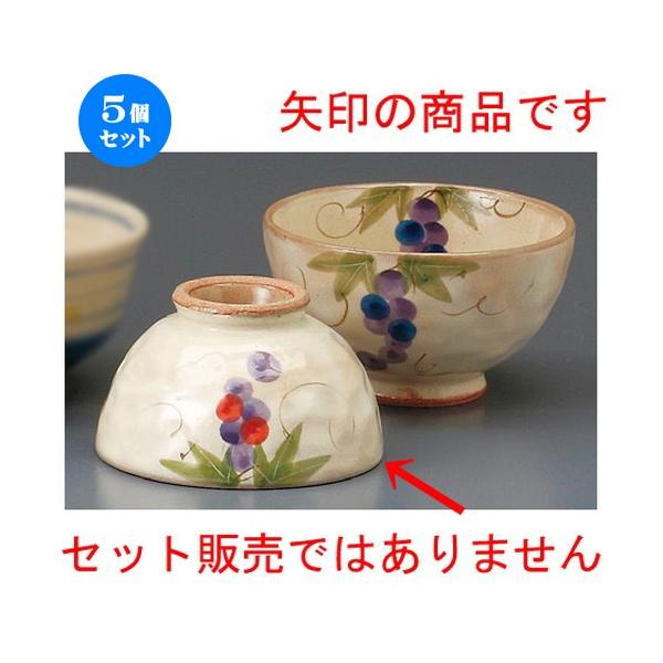 5Zbg  vwјq  ʂԂǂq ԁij [ 105 x 60mm ] yaH HX j vw z