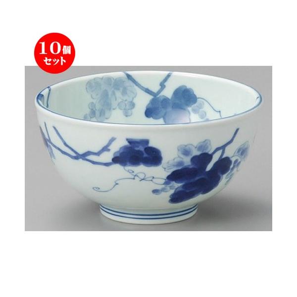 10Zbg    Ԃǂ5.0yʘ [ 160 x 85mm ] y  aH HX Ɩp z