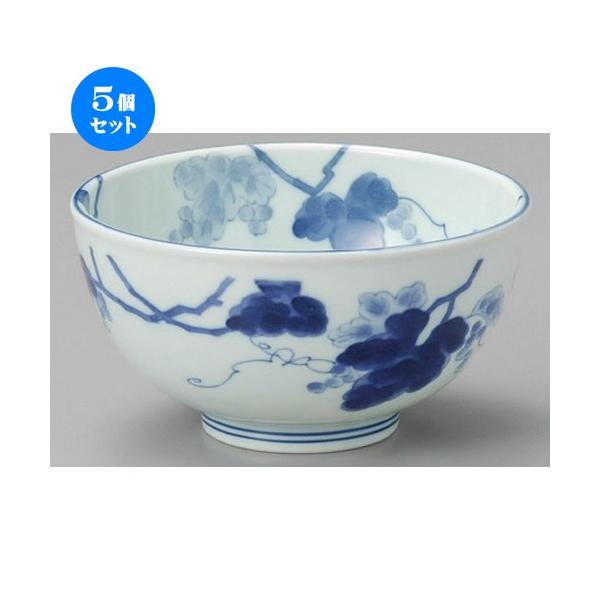 5Zbg    Ԃǂ5.0yʘ [ 160 x 85mm ] y  aH HX Ɩp z