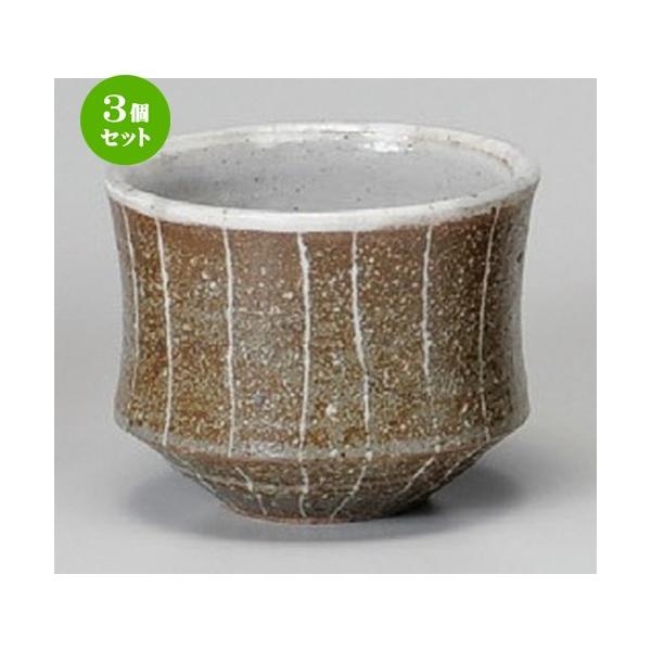 3Zbg  t[Jbv  Ē\Ԃq [ 98 x 77mmE300cc ] y B  aH HX Ɩp z