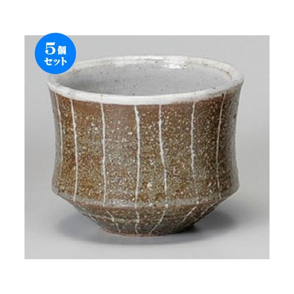 5Zbg  t[Jbv  Ē\Ԃq [ 98 x 77mmE300cc ] y B  aH HX Ɩp z