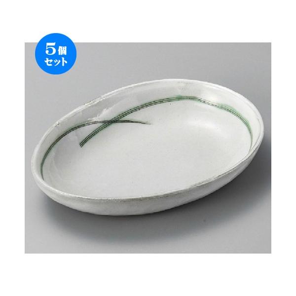 5Zbg  p  DуJ[M [ 231 x 167 x 39mm ] |  aH mH  Ɩp