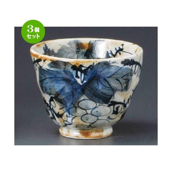 3Zbg    ԂǂՂqij [ 98 x 78mmE270cc ] y  aH HX Ɩp z