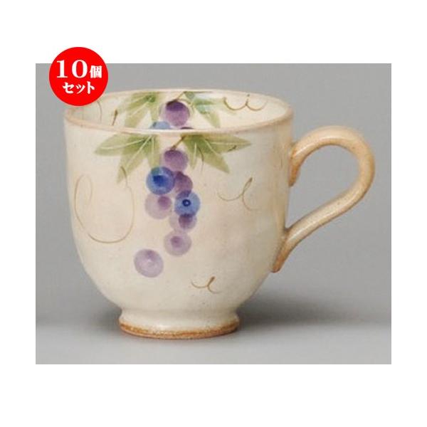 10Zbg  }OJbv  ʂԂǂ}Oij [ 85 x 85mmE270cc ] yXg JtF iX HX Ɩp z