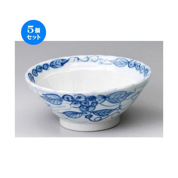  X  KGԂǂ8.0X [ 245 x 105mm ] y  aH HX Ɩp z