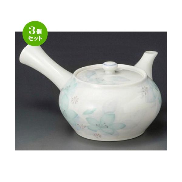 3Zbg  }{  Øa싞^}{ [ 300cc ] y  aH HX Ɩp z