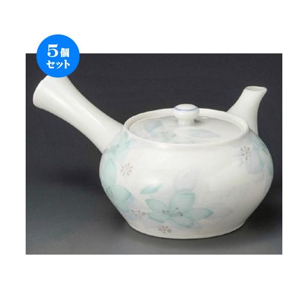 5Zbg  }{  Øa싞^}{ [ 300cc ] y  aH HX Ɩp z