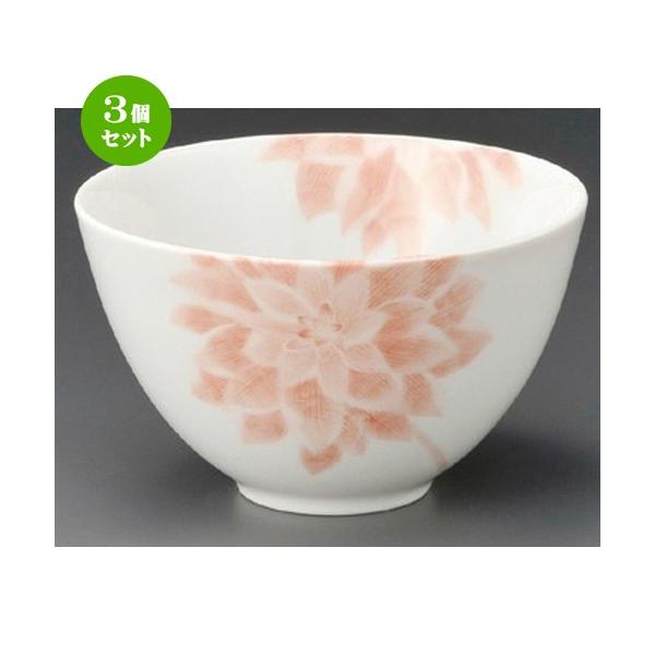 3Zbg  p  _Apq [ 120 x 70mm ] y  aH HX Ɩp z