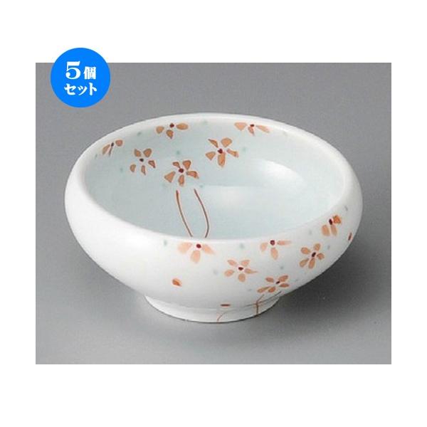 5Zbg    u[P菬t [ 100 x 45mm ]  |  aH mH  Ɩp