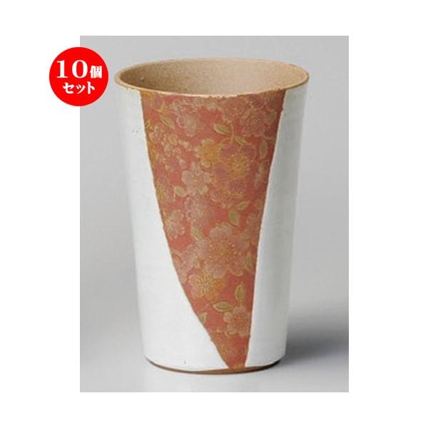 10Zbg  t[Jbv  ԕijt[Jbv [ 73 x 120mmE240cc ] y B  aH HX Ɩp z