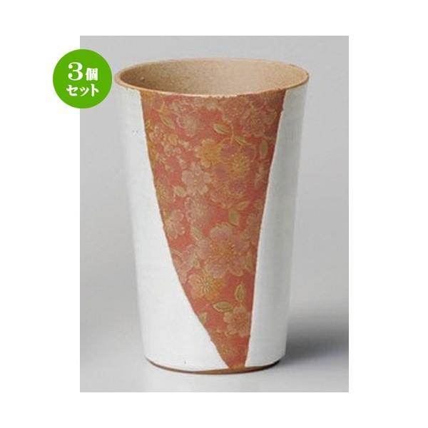 3Zbg  t[Jbv  ԕijt[Jbv [ 73 x 120mmE240cc ] y B  aH HX Ɩp z