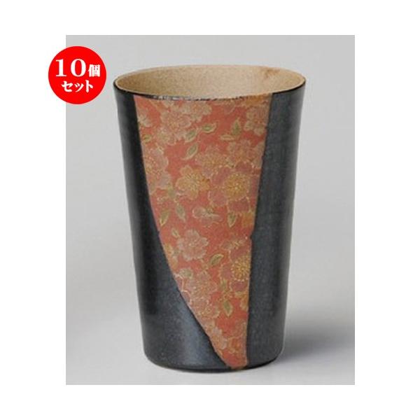 10Zbg  t[Jbv  ԕijt[Jbv [ 73 x 120mmE240cc ] y B  aH HX Ɩp z