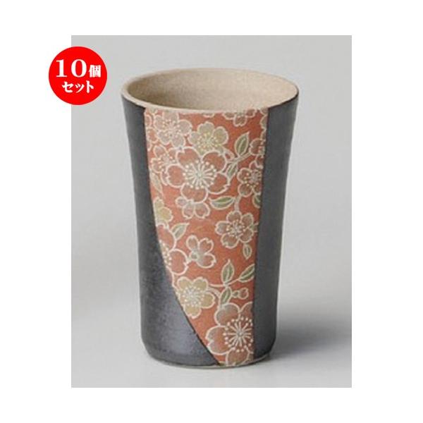 10Zbg  t[Jbv  ԕijJbv [ 66 x 102mmE100cc ] y B  aH HX Ɩp z