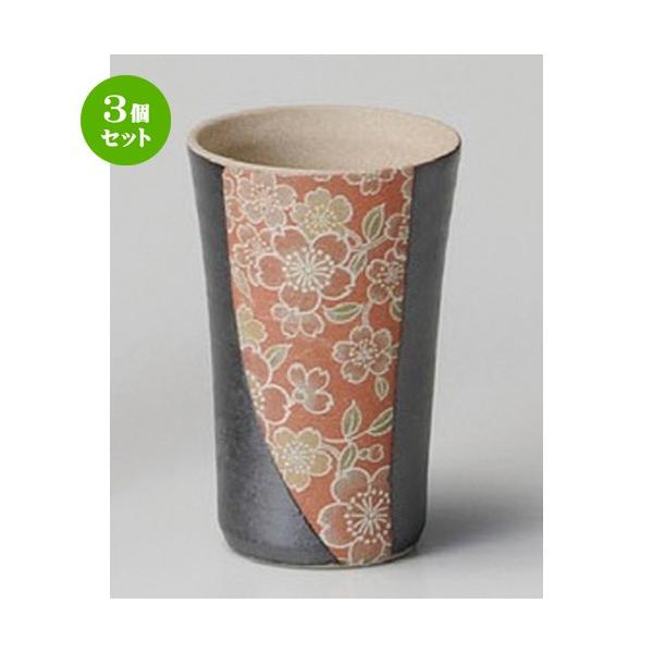 3Zbg  t[Jbv  ԕijJbv [ 66 x 102mmE100cc ] y B  aH HX Ɩp z