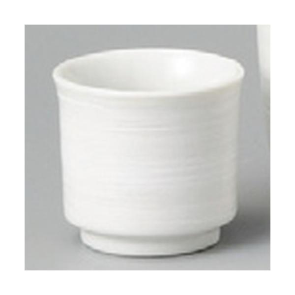    іڔu [ 50 x 45mmE50cc ] y B aH HX Ɩp z