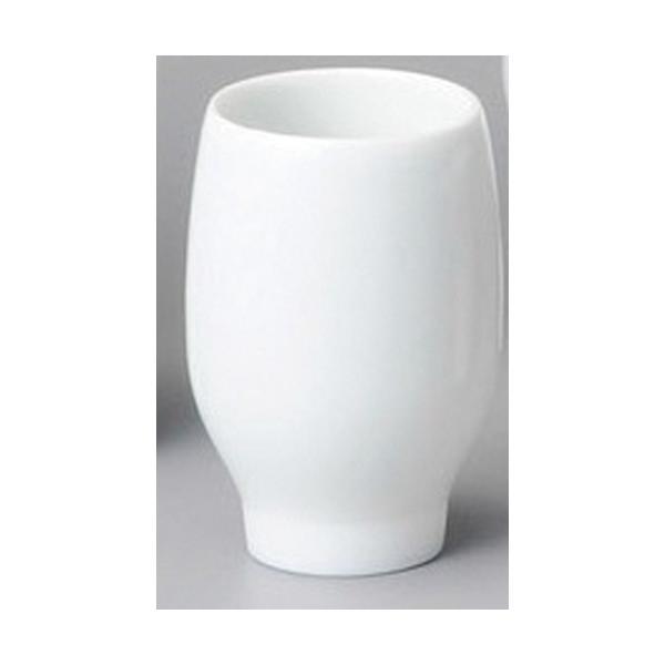  u  ꌣuc{ [ 55 x 83mmE120cc ] y B aH HX Ɩp z