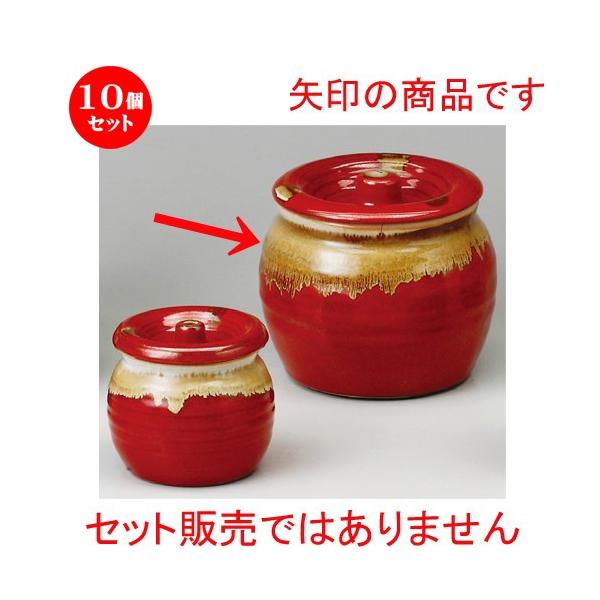 10Zbg  WtJ  Ԕ3J [ 105 x 100mmE500cc ] y  aH HX Ɩp z