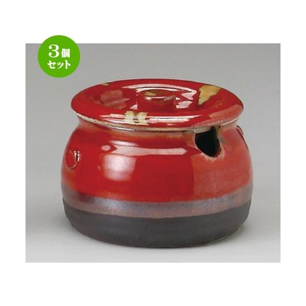 3Zbg  J  `Ԕ؊W [ 120 x 95mmE500cc ] y  aH HX Ɩp z