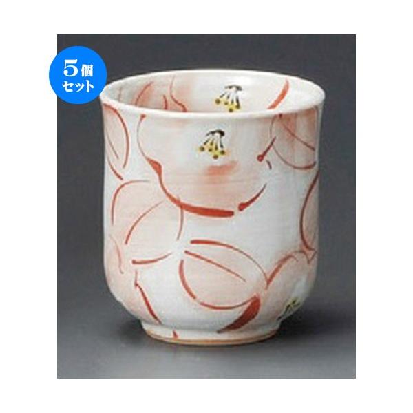 5Zbg  vw  Ԓ֓ہij [ 70 x 76mm ] yaH HX j vw z