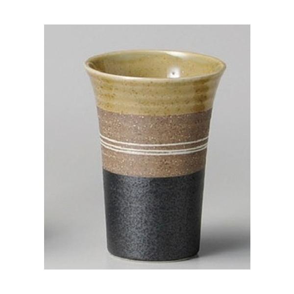  t[Jbv  Ԕ^t[Jbv [ 81 x 110mmE220cc ] y B  aH HX Ɩp z