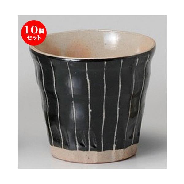 10Zbg  t[Jbv  \ĒJbv [ 100 x 88mmE320cc ] y B  aH HX Ɩp z