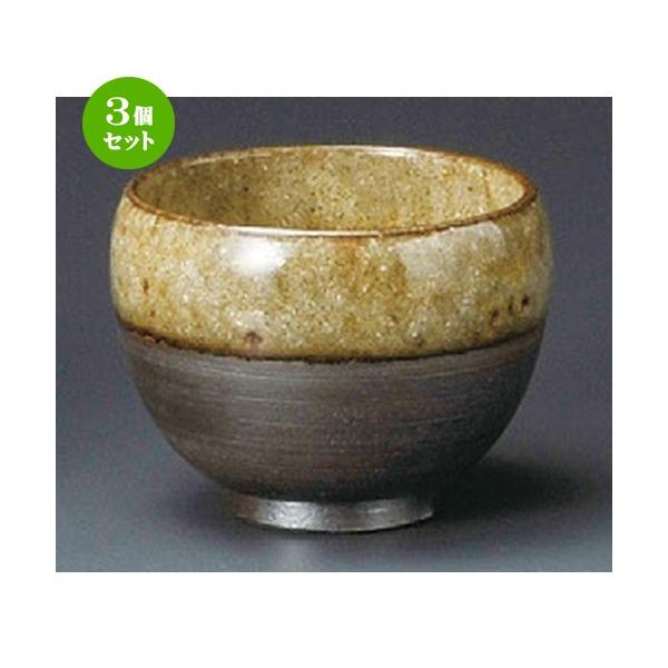 3Zbg    y炬 [ 87 x 70mmE250cc ] y  aH HX Ɩp z