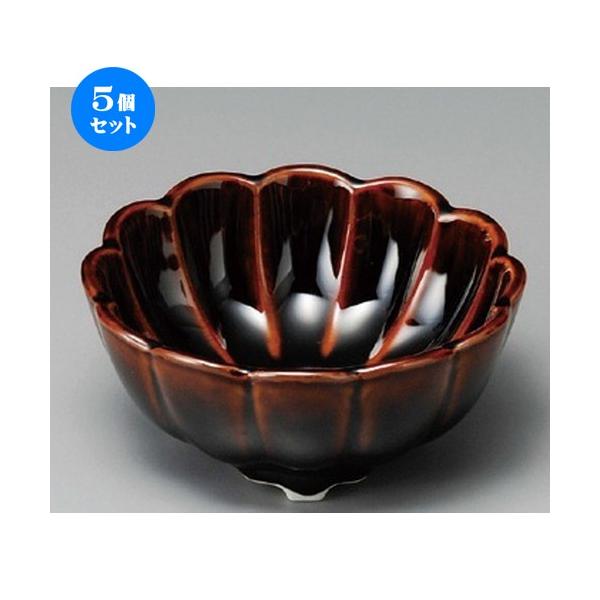 5Zbg    Je^t [ 105 x 47mm ]  |  aH mH  Ɩp