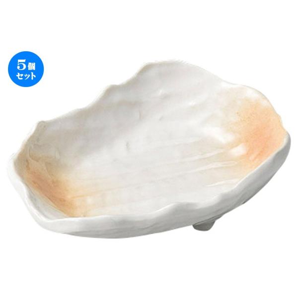 5�Z�b�g �� �h�g�� �� �����ڂ̊�^���t [ 110 x 80 x 30mm ] �y���� ���� �a�H�� ���H�X �Ɩ��p �z