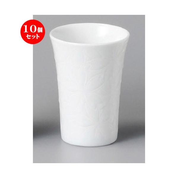 10Zbg  u  XJbvij [ 64 x 90mmE140cc ] y B aH HX Ɩp z