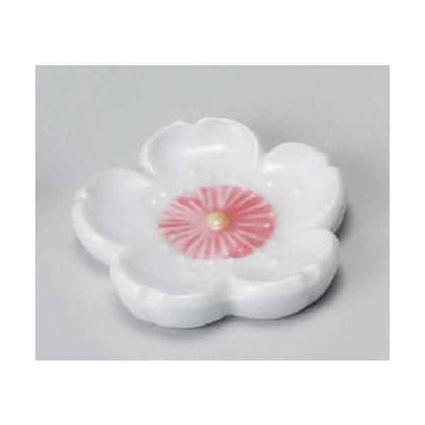  u  VԁisNju [ 45mm ] y  aH HX Ɩp z