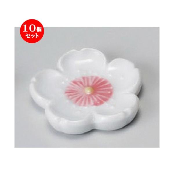 10Zbg  u  VԁisNju [ 45mm ] y  aH HX Ɩp z