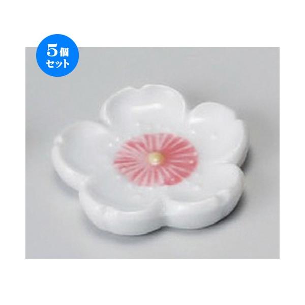  u  VԁisNju [ 45mm ] y  aH HX Ɩp z