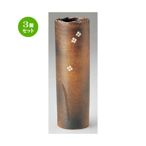 3Zbg  Ԋ  Ԑԓ [ 100 x 270mm ] yCeA a ؓ ԕr z