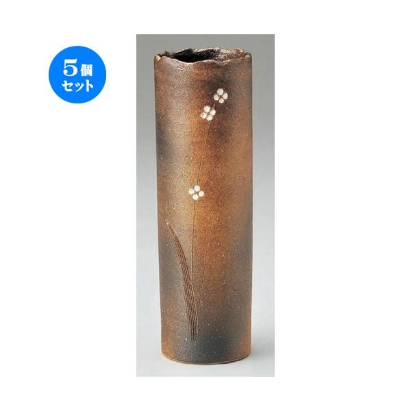 5Zbg  Ԋ  Ԑԓ [ 100 x 270mm ] yCeA a ؓ ԕr z