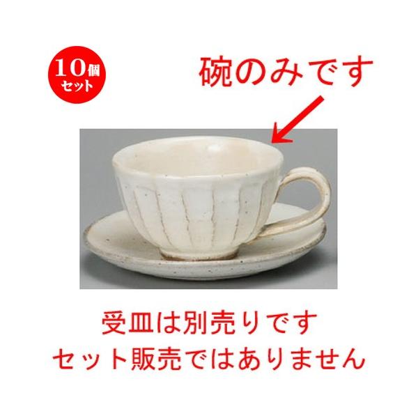 10Zbg  R[q[g  SʃR[q[q [ 95 x 58mmE200cc ] yXg JtF iX HX Ɩp z