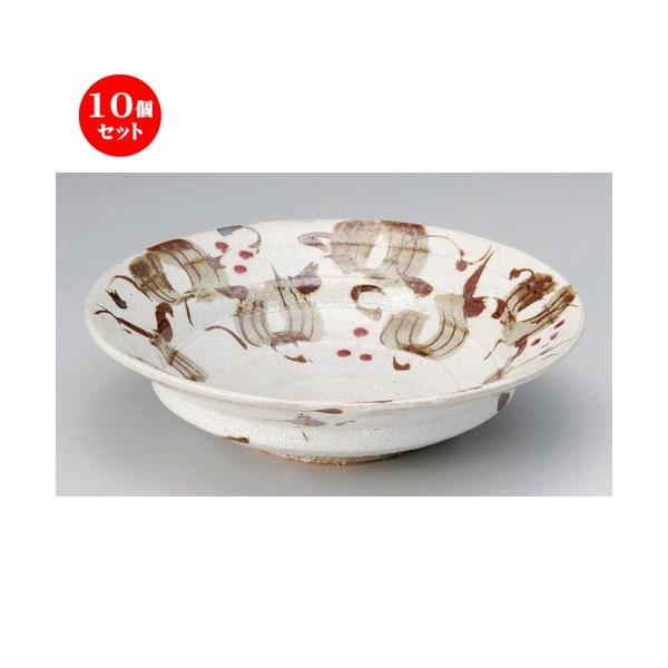 10�Z�b�g �� ���� ���~�Ԕ�R�A���V8���� [ 25 x 7.2cm 990g ] | ���� �a�H�� �m�H�� ������� �Ɩ��p