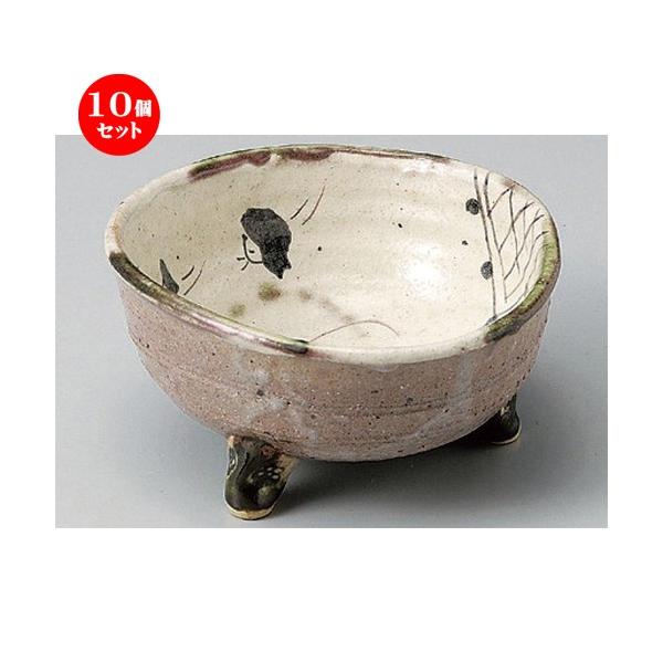 10�Z�b�g �� ���� ���葢 �Ñ�D���O������ [ 16.5 x 15 x 9cm 520g ] | ���� �a�H�� �m�H�� ������� �Ɩ��p