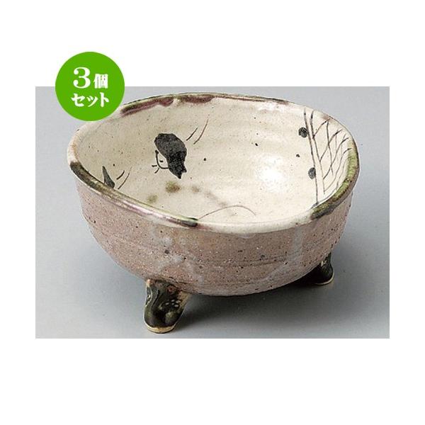 3�Z�b�g �� ���� ���葢 �Ñ�D���O������ [ 16.5 x 15 x 9cm 520g ] | ���� �a�H�� �m�H�� ������� �Ɩ��p