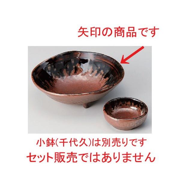  hg ݂̂O5.0 [ 15 x 13.5 x 5cm 270g ] y   aH HX Ɩp z