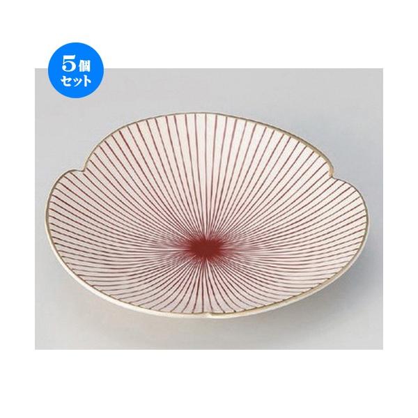 5Zbg  t COԐ{\Ot [ 20 x 4cm 300g ] y   aH HX Ɩp z