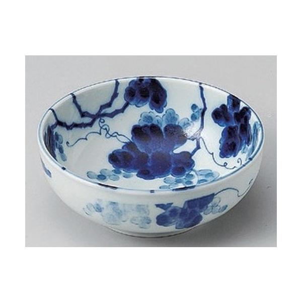   Ԃǂ4.5 [ 13.2 x 5.3cm 223g ] |  aH mH  Ɩp