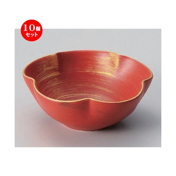 10Zbg   ֋ʍіډQԌ^ [ 12.8 x 5cm 200g ]  |  aH mH  Ɩp