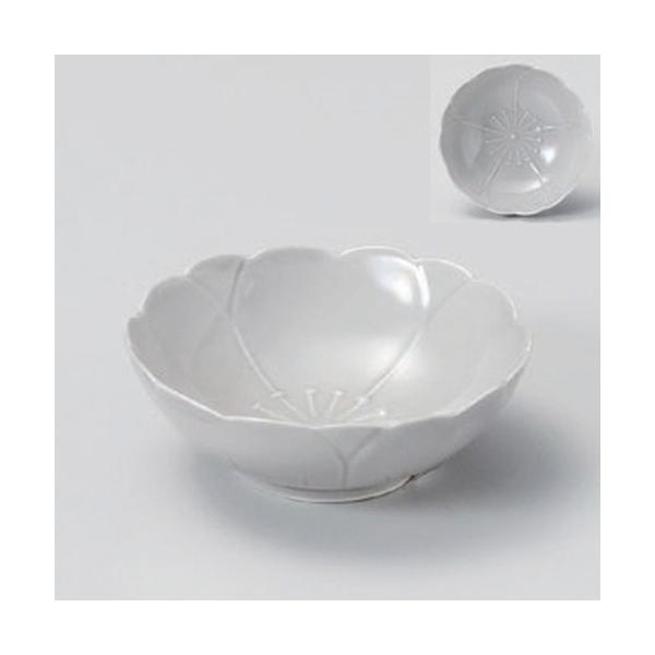  t RcP (n) [ 8.5 x 3cm (50cc) 65g ] y   aH HX Ɩp z