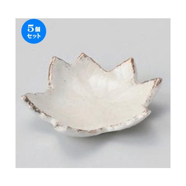 5Zbg  gtM [ 6.5 x 1.5cm 20g ] y   aH HX Ɩp z