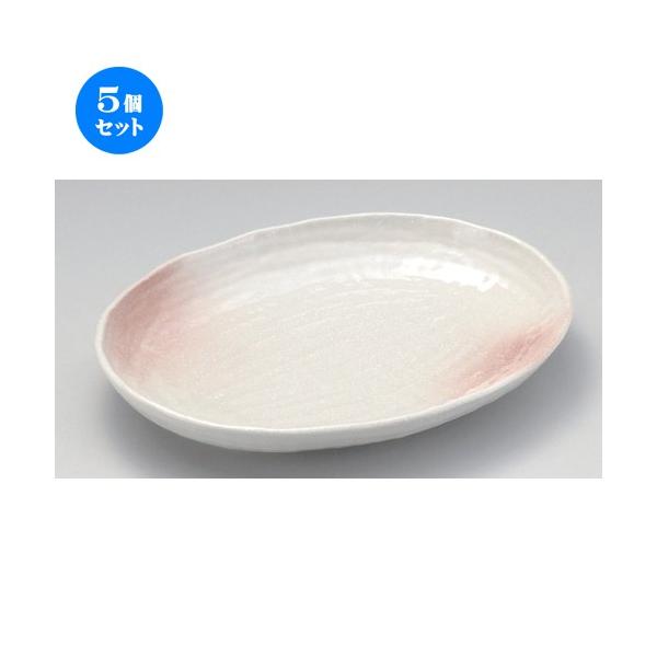 5Zbg  ό`M ȉ~M [ 37 x 29.5 x 4.5cm 1563g ] | ό`M M aH mH  Ɩp