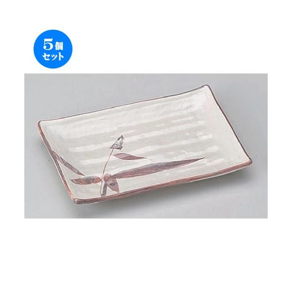 5�Z�b�g �� �ĕ��M ���u�숰6.0�ĕ��M [ 17.5 x 12 x 2.2cm 240g ] �y ���� ���� �a�H�� ���H�X �Ɩ��p �z