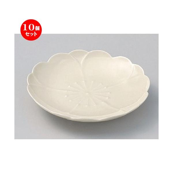 10Zbg  t[cM () M15cm [ 15 x 2cm 227g ] y   aH HX Ɩp z