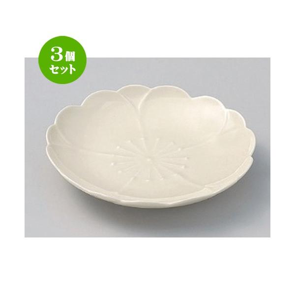 3Zbg  t[cM () M15cm [ 15 x 2cm 227g ] y   aH HX Ɩp z